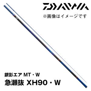 予約　鮎竿　銀影エア MT・W 急瀬抜 XH90・W ダイワ 255106｜katsukinet