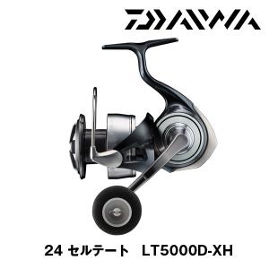 DAIWA（ダイワ） 23 エアリティ (AIRITY) SF2000SS-H 110535