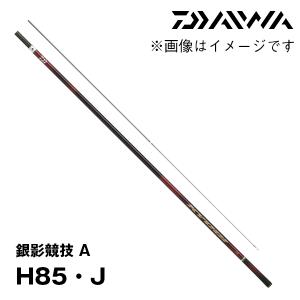 鮎竿　ダイワ　銀影競技スペシャルA 100SG DAIWA（釣り） ダイワ 鮎竿 銀影競技 スペシャル TYPE S 90・E