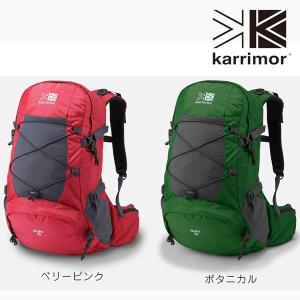 dale 28 type 1 カリマー（Karrimor）｜katsukinet