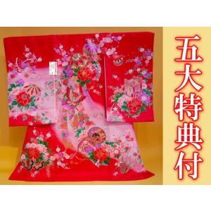 お宮参り着物 産着 初着 正絹 女児 宮参り きもの S５-２