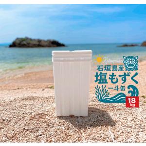 沖縄県知念産塩蔵もずく一斗缶18kg 2026年産 : 沖縄もずくの風月