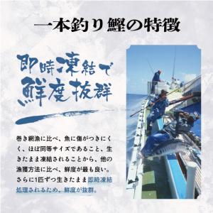 敬老の日 ギフト 鹿児島県産 きびなご 350...の詳細画像3