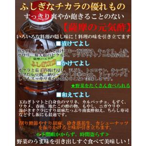 お中元 ギフト 鹿児島県 ふしぎ南蛮酢 1.5...の詳細画像1