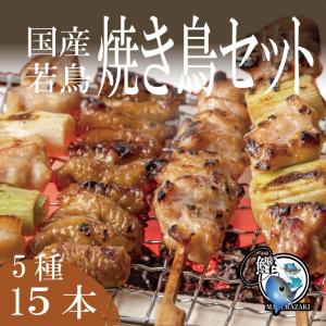 お中元 ギフト 国産 若鳥 やきとり 鳥串 5種30本 焼き鳥セット（鶏モモ