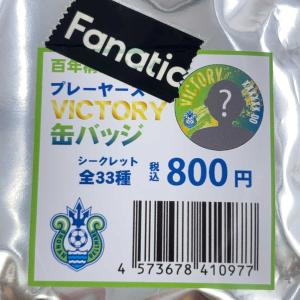 【中古】湘南ベルマーレ オ下口稚葉 VICTO...の詳細画像4