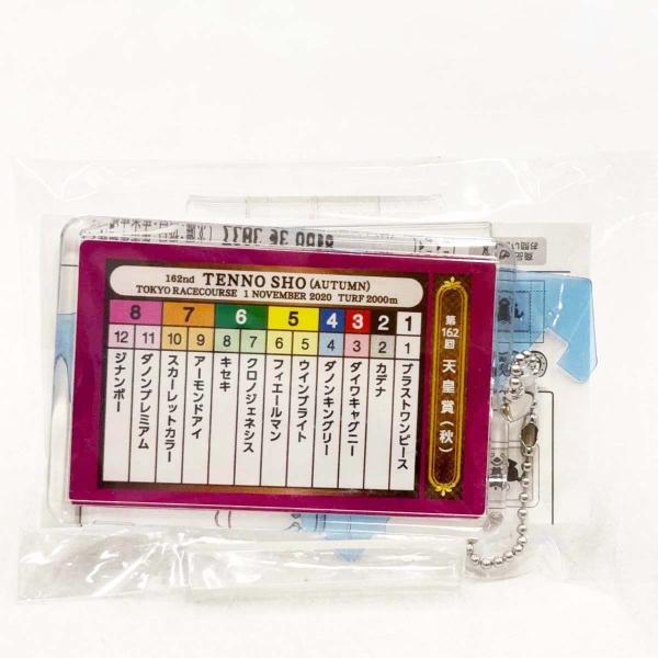 【中古・未使用品】第162回 天皇賞 秋 想い出馬券ホルダー 競馬