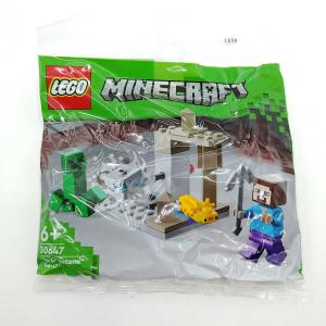 【中古・未使用品】レゴ The Dripstone Cavern マインクラフト マイクラ 鍾乳洞 ミニセット 30647 LEGO｜kaucowking