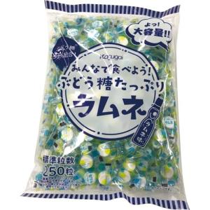 春日井製菓 みんなで食べようぶどう糖たっぷりラムネ550g