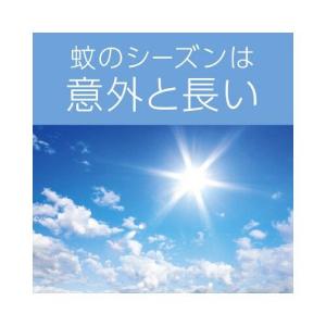 アース製薬 ノーマット取替ボトル180日無香料3本入の詳細画像5