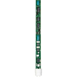 5個】岩崎電気 メタルハライドランプ 250W 透明形 BUS形 岩崎電気