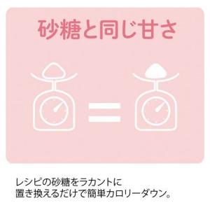 サラヤ ラカントS顆粒 720gの詳細画像2