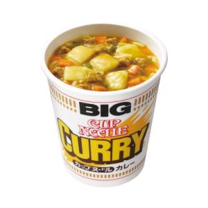 日清 カップヌードル 78g（1ケース20食入 × 2） 日清食品 カップヌードル 日清食品 日清 78g ×1ケース (20食入) : クイック
