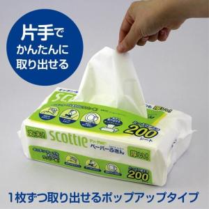 日本製紙クレシア スコッティペーパーふきん サ...の詳細画像4