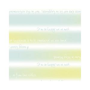 申込期間12月09日13時まで_ササガワ 包装紙 ホライズンB_取寄商品