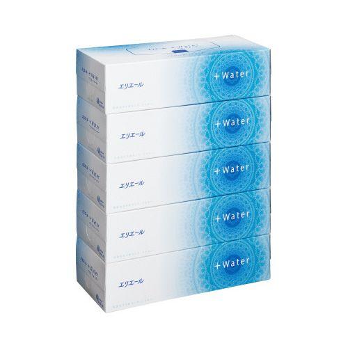 大王製紙 エリエール＋ＷＡＴＥＲ　１８０組（５箱入）