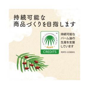サラヤ ヤシノミ洗剤 詰替用 1000ml×8の詳細画像5