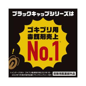 アース製薬 ブラックキャップ 1年間効く! 12個入の詳細画像1