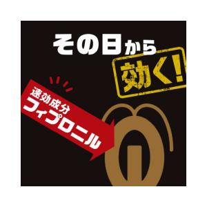 アース製薬 ブラックキャップ 1年間効く! 12個入の詳細画像2