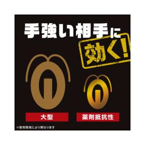 アース製薬 ブラックキャップ 1年間効く! 12個入の詳細画像3