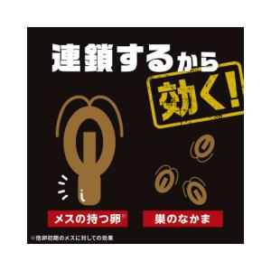 アース製薬 ブラックキャップ 1年間効く! 12個入の詳細画像4