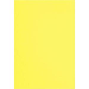 カウネット 色画用紙　八つ切　レモン　１０枚