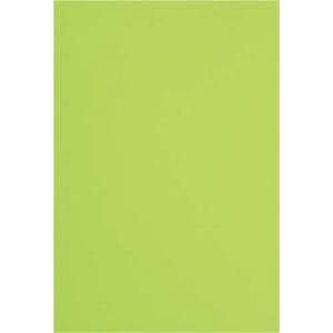カウネット 色画用紙　八つ切　黄緑　１０枚