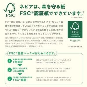 王子ネピア ネピア 激吸収キッチンタオル 2ロールの詳細画像4