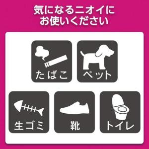 エステー 消臭力クリアビーズ イオン消臭プラス...の詳細画像5
