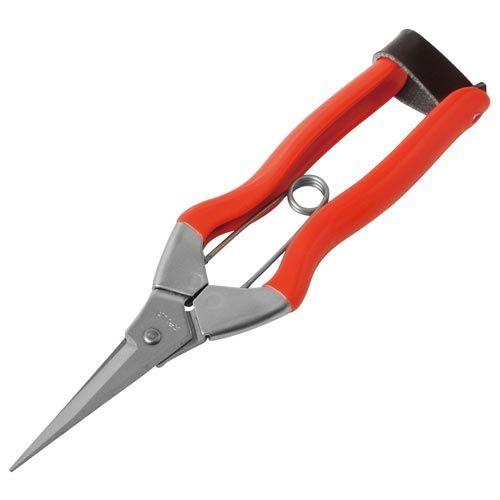 申込期間26年04月17日13時まで_アークランズ ステンレス摘果鋏　１８５ｍｍ　Ｓ−１_取寄商品