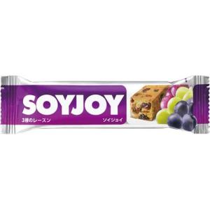 大塚製薬 ＳＯＹＪＯＹ３種のレーズン　３０ｇ　１２個｜kaumall