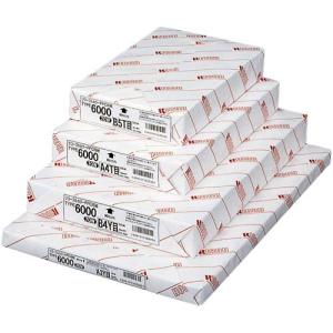 リコー ＰＰＣ用紙タイプ６０００ ７０ＷＡ４ ５００枚×５の買取情報