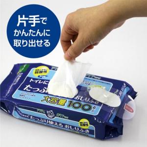 日本製紙クレシア アクティ 流せるたっぷり使え...の詳細画像3