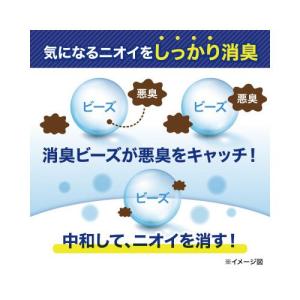 小林製薬 無香空間 つめ替用 無香料 270Gの詳細画像3