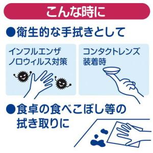 日本製紙クレシア クレシアEFハンドタオルソフ...の詳細画像4