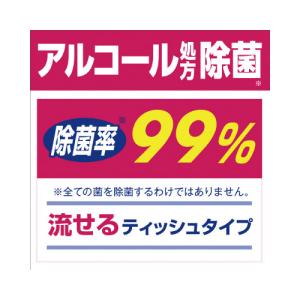 小林製薬 便座除菌クリーナー 家庭・業務用 詰...の詳細画像4