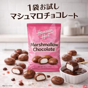 賞味期限26/8/31 1000円ポッキリ 送料無料 ハワイアンホースト マシュマロチョコレート マシュマロチョコ 63g×1袋 (HHマシュマロチョコ1)