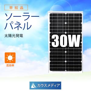 BigBlue ソーラーパネル 100W SP100 B420 充電 バッテリー 停電