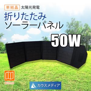 ボーナスストア+5％【美品】EcoFlow EF-Flex-110C ソーラー