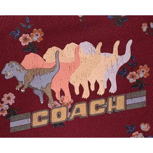 ポーチ コーチ COACH レディース フラッ...の詳細画像3