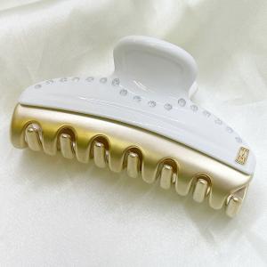 ヘアクリップ アレクサンドルドゥパリ ヴァンド...の詳細画像1