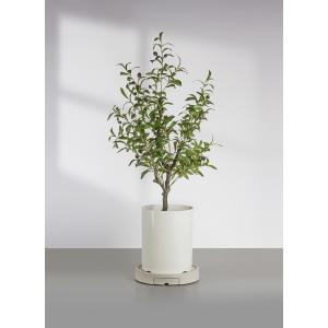 植木鉢台 単品 1個 直径25cm 28.5c...の詳細画像1