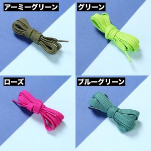靴紐 靴ひも 2本セット 1足用 シューズ ス...の詳細画像5