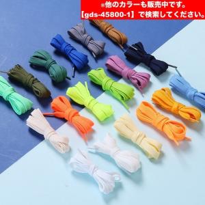 靴紐 靴ひも 2本セット 1足用 シューズ ス...の詳細画像1