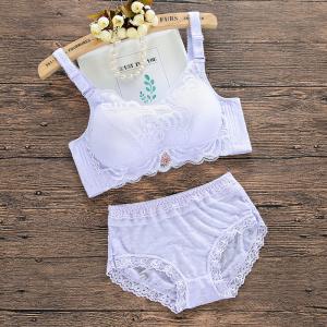 ブラジャー スタンダードショーツ 上下セット ...の詳細画像2
