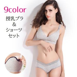 マタニティブラ ショーツ 上下セット インナー ...の商品画像