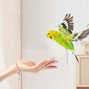 鳥用 足環付きリード 2m トリ散歩 足輪 フ...の詳細画像1