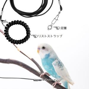 鳥用 足環付きリード 2m トリ散歩 足輪 フ...の詳細画像2