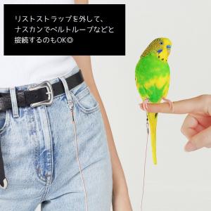 鳥用 足環付きリード 2m トリ散歩 足輪 フ...の詳細画像3