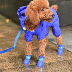 犬用レインブーツ 4個セット 犬用レインシュー...の詳細画像3